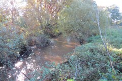 11.-Upstream-from-Ash-Bridge-4