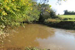 11.-Upstream-from-Ash-Bridge-5