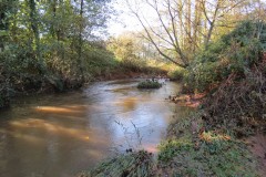 11.-Upstream-from-Ash-Bridge-7