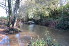 11.-Upstream-from-Ash-Bridge-8