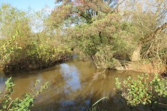 2.-Downstream-from-Hornshay-Bridge-4