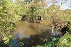2.-Downstream-from-Hornshay-Bridge-5