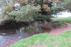 10.-Upstream-from-Pickings-Bridge-1