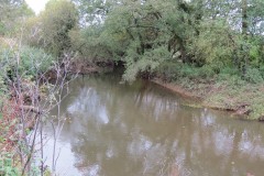 10.-Upstream-from-Pickings-Bridge-2