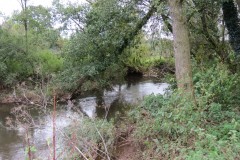 10.-Upstream-from-Pickings-Bridge-3
