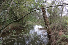 10a.-Upstream-from-Pickings-Bridge