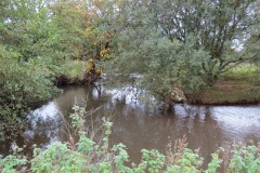 13.-Downstream-from-Perrys-Bridge-3