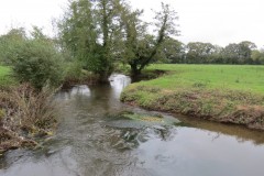 13.-Downstream-from-Perrys-Bridge-8