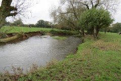 14.-Upstream-from-Tone-Green-1