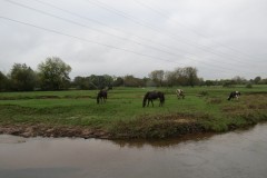 14.-Upstream-from-Tone-Green-10