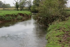 14.-Upstream-from-Tone-Green-11