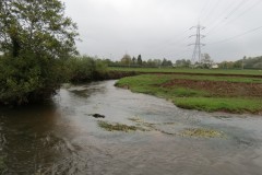 14.-Upstream-from-Tone-Green-12