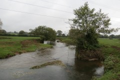 14.-Upstream-from-Tone-Green-13