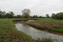 14.-Upstream-from-Tone-Green-14