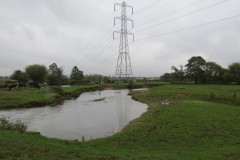 14.-Upstream-from-Tone-Green-6