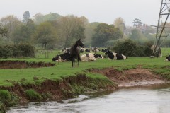14.-Upstream-from-Tone-Green-7