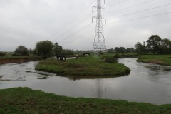 14.-Upstream-from-Tone-Green-8