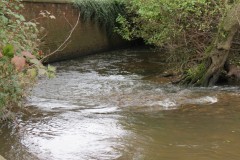 7.-Downstream-from-Ash-Bridge-1