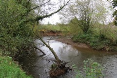 7.-Downstream-from-Ash-Bridge-3