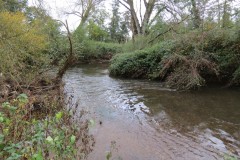 7.-Downstream-from-Ash-Bridge-5