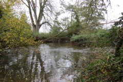 7.-Downstream-from-Ash-Bridge-6
