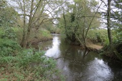 8.-Downstream-from-Clavengers-Farm-1