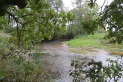8.-Downstream-from-Clavengers-Farm-3