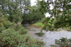 8.-Downstream-from-Clavengers-Farm-4