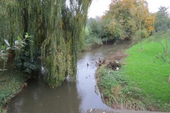 1.-Looking-upstream-from-Bradford-Bridge