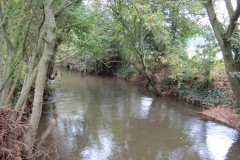 14.-Downstream-from-Bradford-Mill-1
