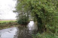 14.-Downstream-from-Bradford-Mill-10