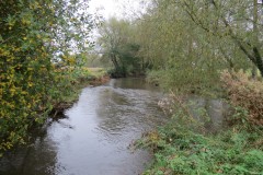 14.-Downstream-from-Bradford-Mill-11