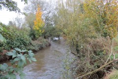 14.-Downstream-from-Bradford-Mill-14