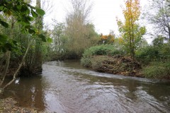 14.-Downstream-from-Bradford-Mill-15