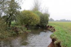 14.-Downstream-from-Bradford-Mill-18