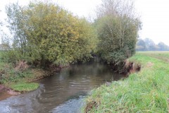 14.-Downstream-from-Bradford-Mill-19
