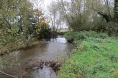 14.-Downstream-from-Bradford-Mill-2