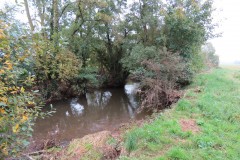 14.-Downstream-from-Bradford-Mill-3