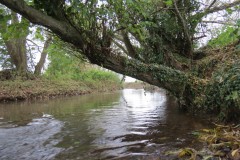 14.-Downstream-from-Bradford-Mill-5