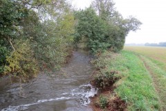 14.-Downstream-from-Bradford-Mill-9