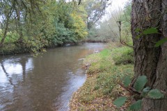 14.-Upstream-from-Hele-Mill-weir-3