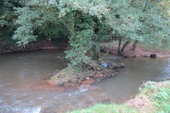 14.-Upstream-from-Hele-Mill-weir-8
