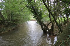 19.-Upstream-from-Hele-Bridge-3