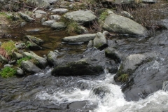 9. Dipper East lyn river