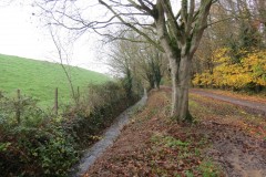 Ellenge-stream-by-Cheddar-Reservoir-10