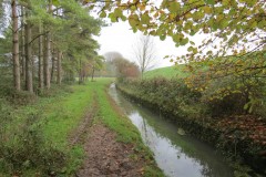 Ellenge-stream-by-Cheddar-Reservoir-4