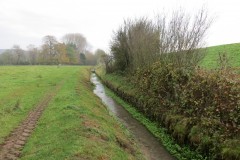 Ellenge-stream-by-Cheddar-Reservoir-5