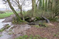 Ellenge-stream-by-Cheddar-Reservoir-7