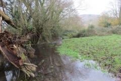 Ellenge-stream-by-Cheddar-Reservoir-8