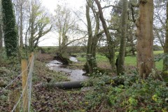 Ellenge-stream-by-Cheddar-Reservoir-9